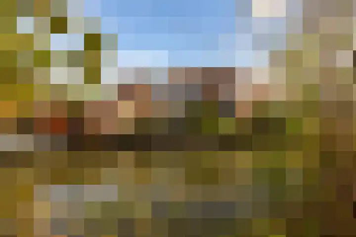 Leeuwerik 25 Kwintsheul thumbnail 40