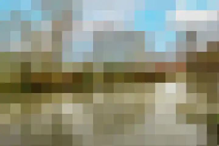 Leeuwerik 25 Kwintsheul thumbnail 44
