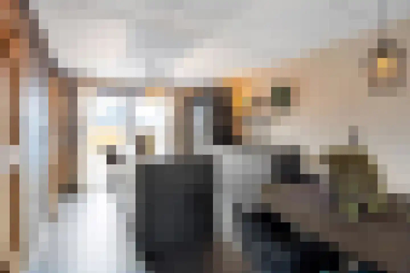 Leeuwerik 31 Grootegast thumbnail 15