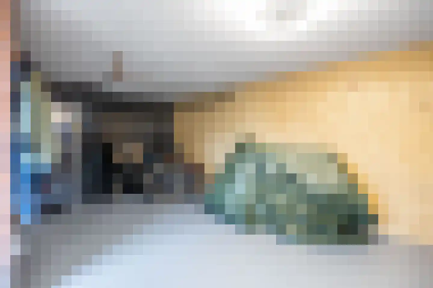 Leeuwerik 31 Grootegast thumbnail 20