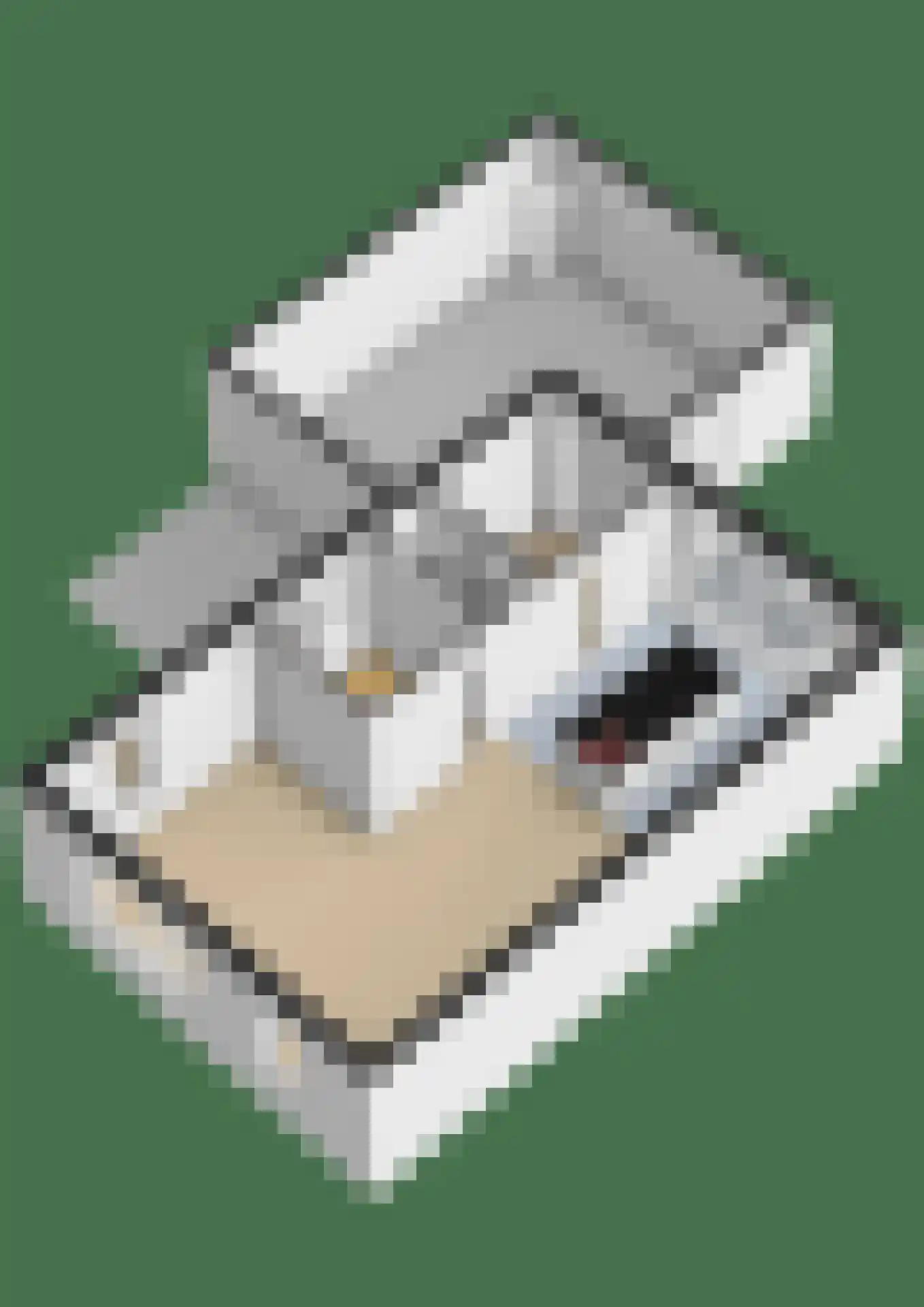 Leeuwerik 31 Grootegast thumbnail 40