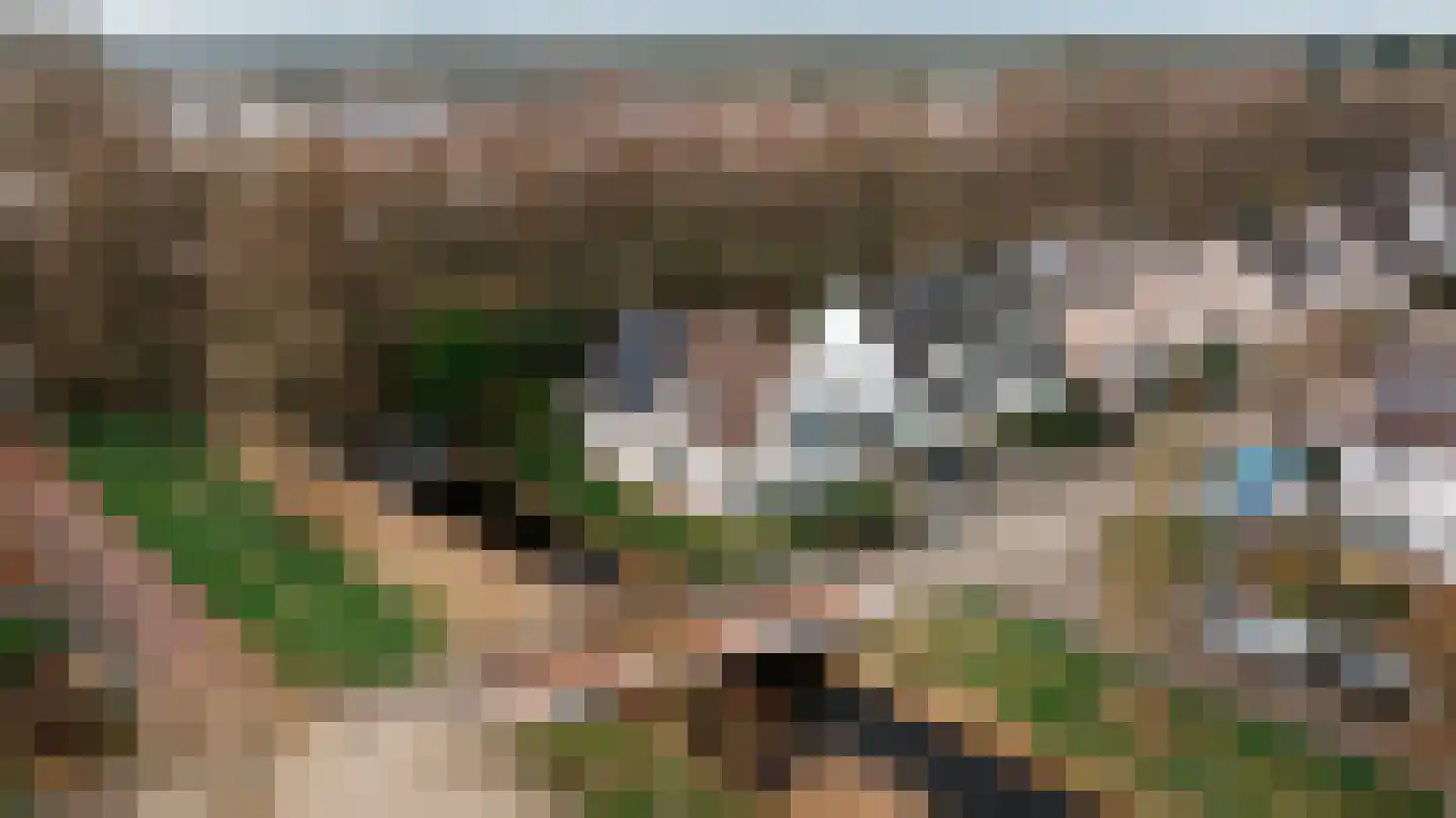Leeuwerik 44 dans Veenendaal