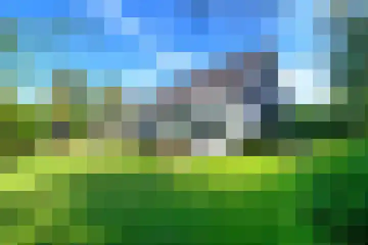 Leeuwerik 6 Bodegraven