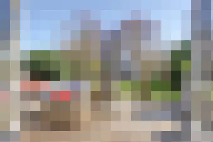Leeuwerik 6 Zuid-Scharwoude thumbnail 21