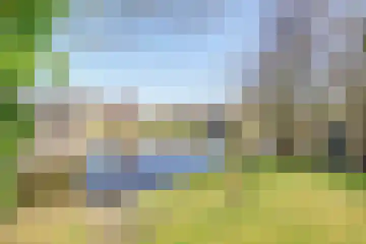 Leeuwerik 6 Zuid-Scharwoude thumbnail 44