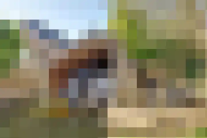 Leeuwerik 6 Zuid-Scharwoude thumbnail 47