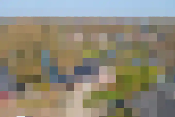 Leeuwerik 6 Zuid-Scharwoude thumbnail 61