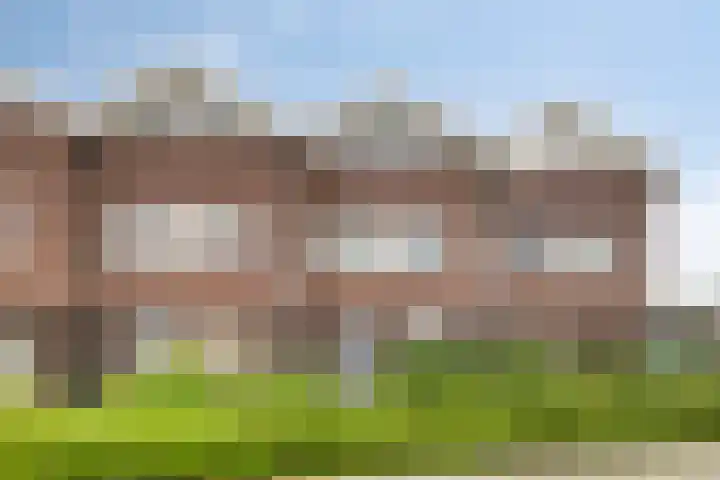 Leeuwerik 63 Mierlo