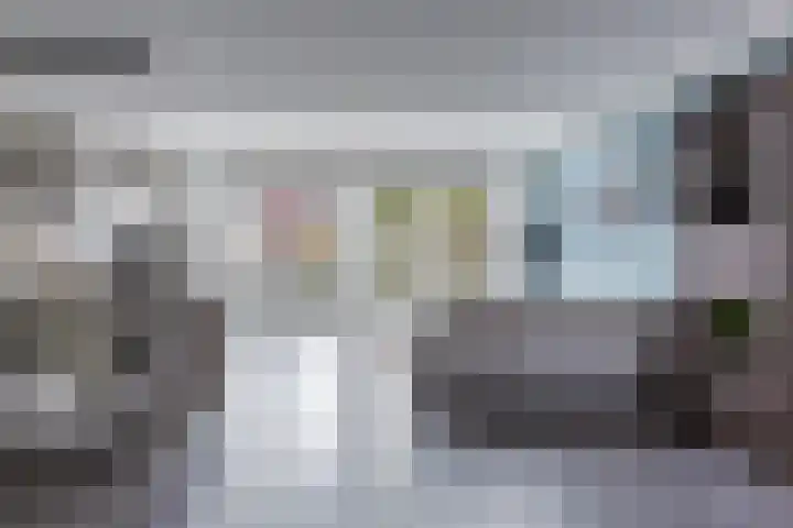 Leeuwerik 9 Mierlo thumbnail 10