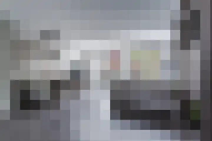 Leeuwerik 9 Mierlo thumbnail 11