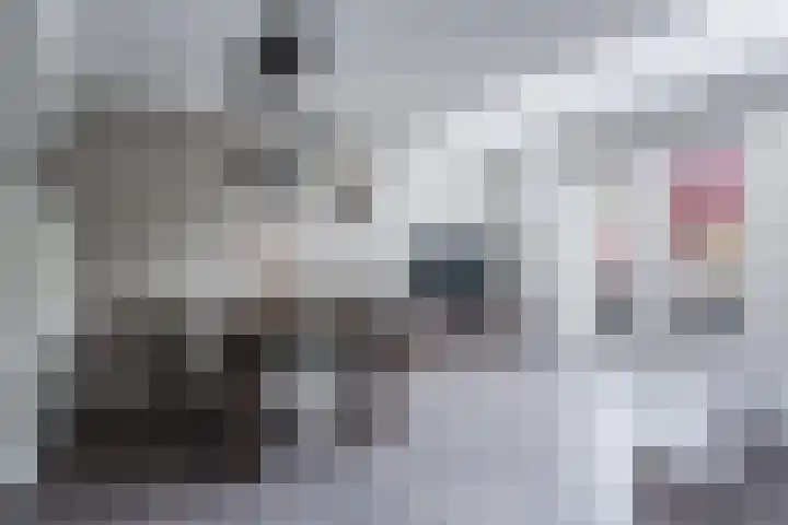 Leeuwerik 9 Mierlo thumbnail 13