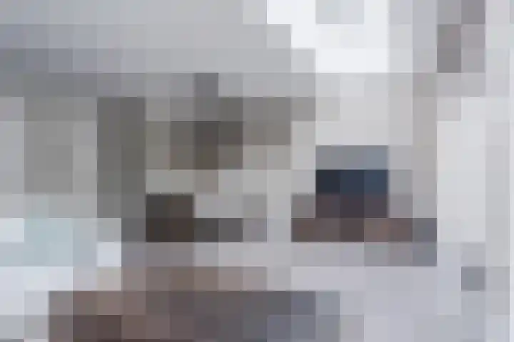 Leeuwerik 9 Mierlo thumbnail 14