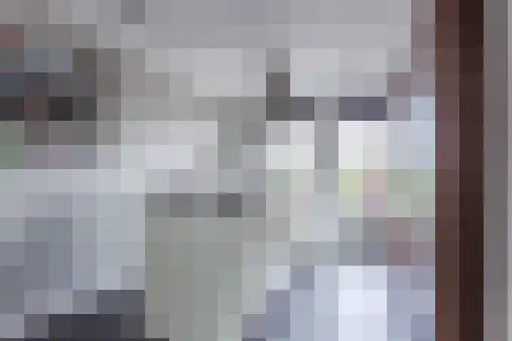 Leeuwerik 9 Mierlo thumbnail 17