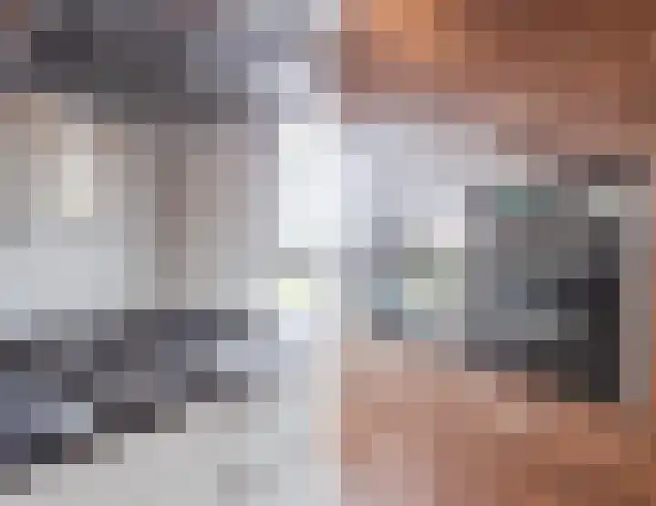 Leeuwerik 9 Mierlo thumbnail 22