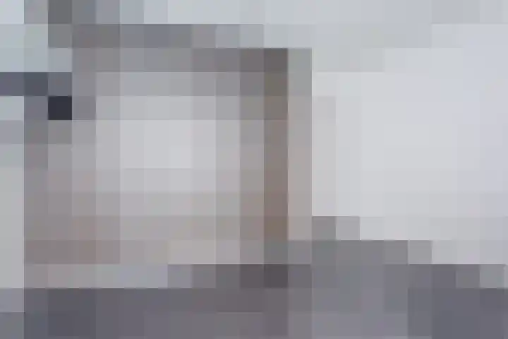 Leeuwerik 9 Mierlo thumbnail 24