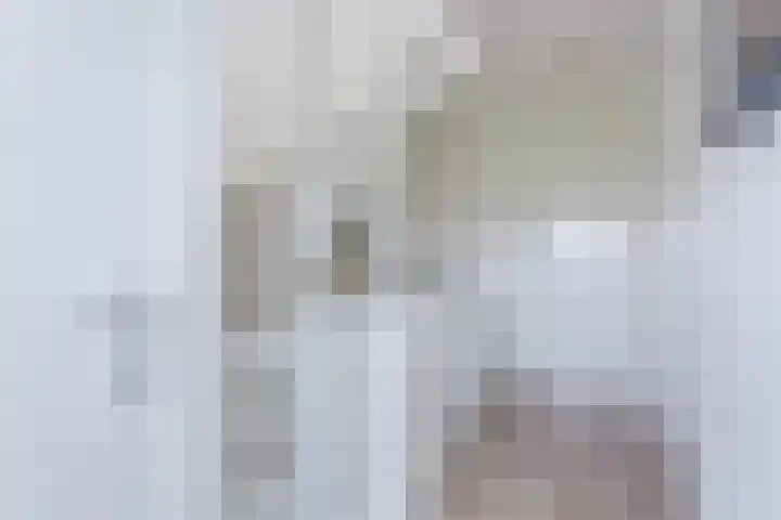 Leeuwerik 9 Mierlo thumbnail 29