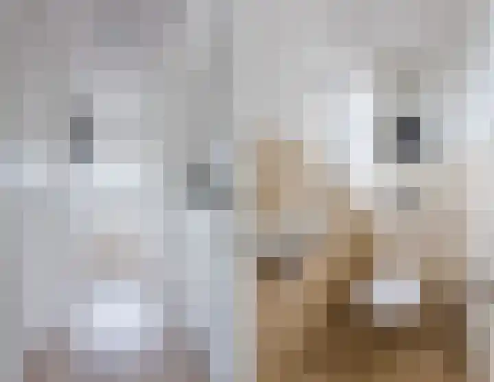 Leeuwerik 9 Mierlo thumbnail 30