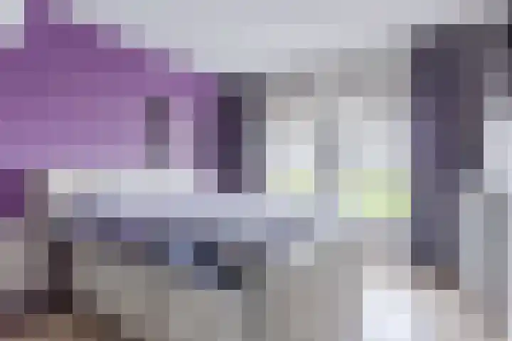 Leeuwerik 9 Mierlo thumbnail 32
