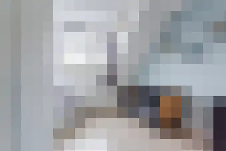 Leeuwerik 9 Mierlo thumbnail 33