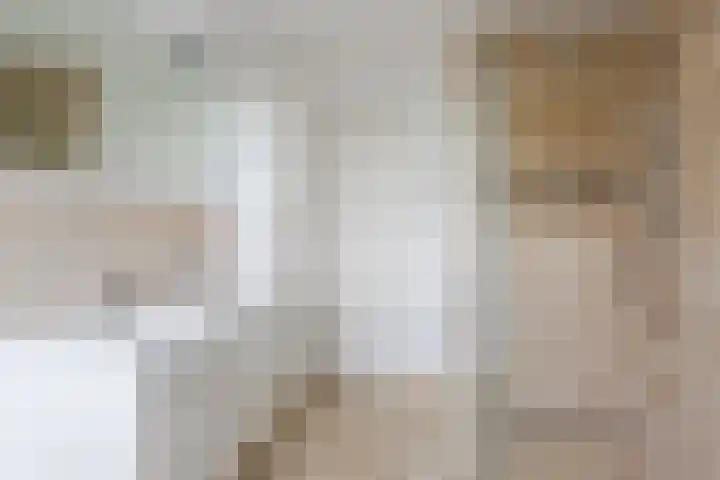 Leeuwerik 9 Mierlo thumbnail 37
