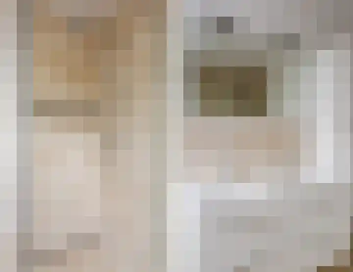 Leeuwerik 9 Mierlo thumbnail 38