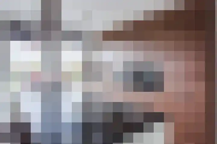 Leeuwerik 9 Mierlo thumbnail 4