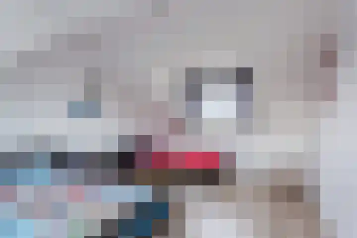 Leeuwerik 9 Mierlo thumbnail 42