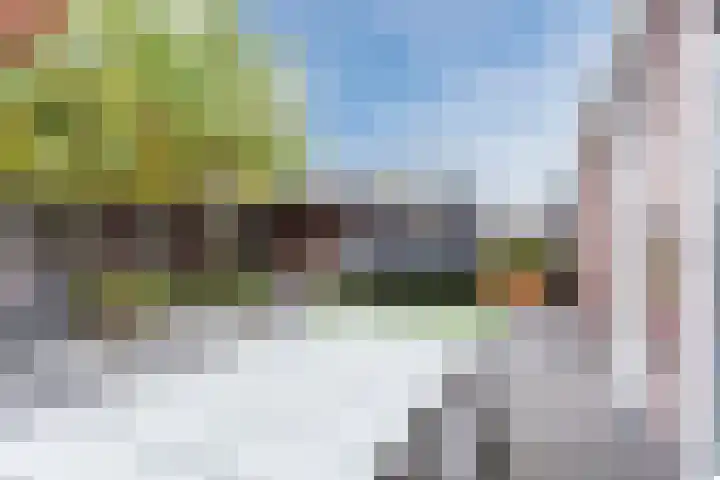 Leeuwerik 9 Mierlo thumbnail 43