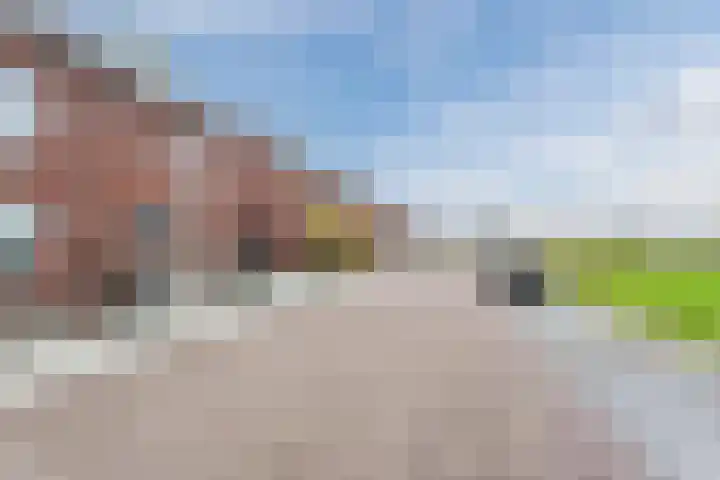 Leeuwerik 9 Mierlo thumbnail 5