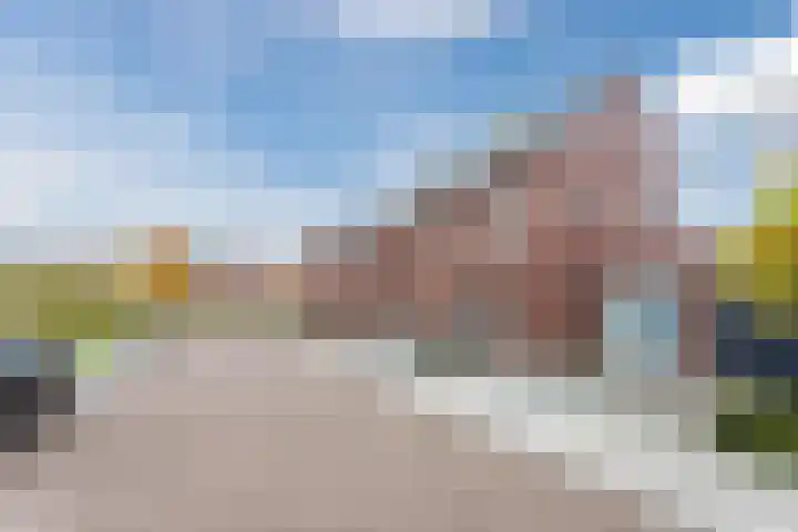 Leeuwerik 9 Mierlo thumbnail 53