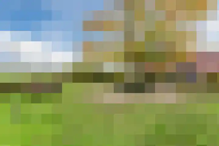 Leeuwerik 9 Mierlo thumbnail 54