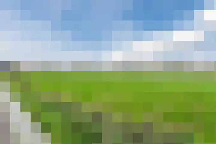 Leeuwerik 9 Mierlo thumbnail 55