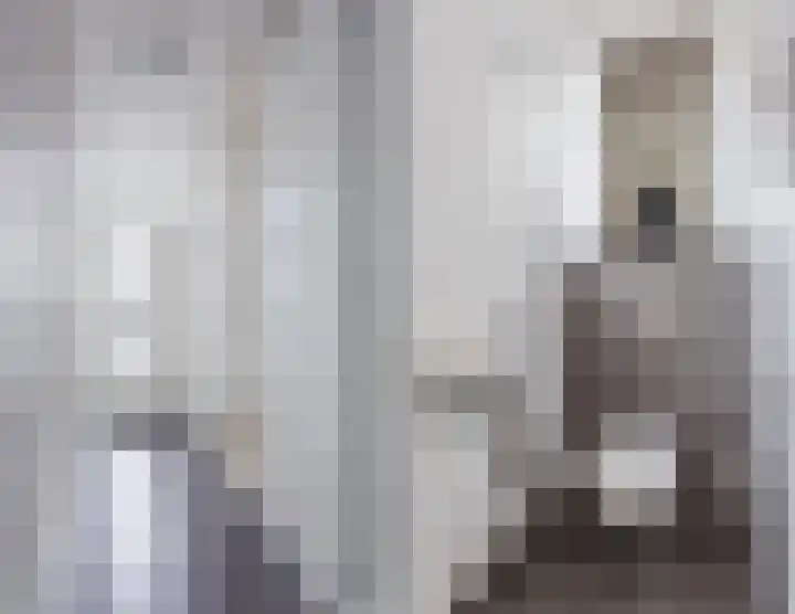Leeuwerik 9 Mierlo thumbnail 9