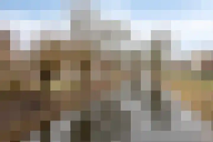 Leeuwerikborch 9 Rosmalen thumbnail 31