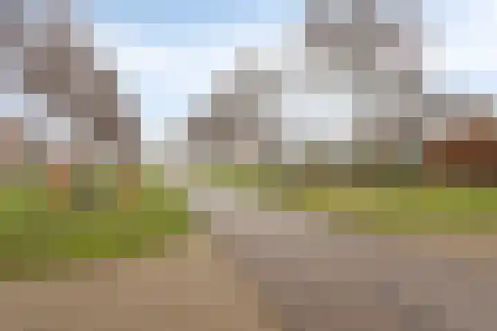 Leeuwerikborch 9 Rosmalen thumbnail 32