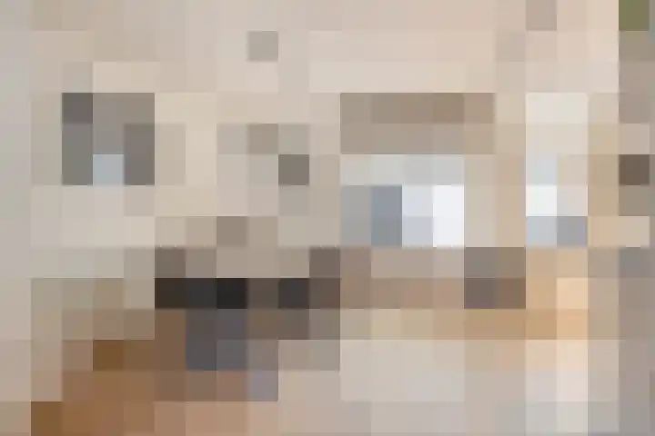 Leeuwerikborch 9 Rosmalen thumbnail 5