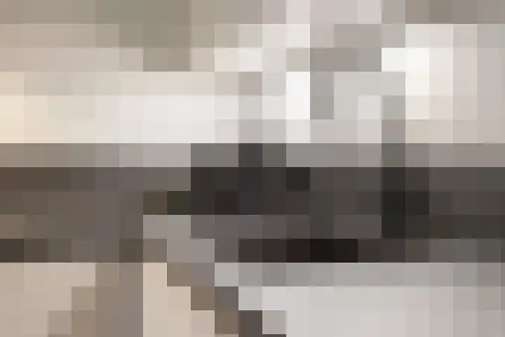 Leeuwerikborch 9 Rosmalen thumbnail 9