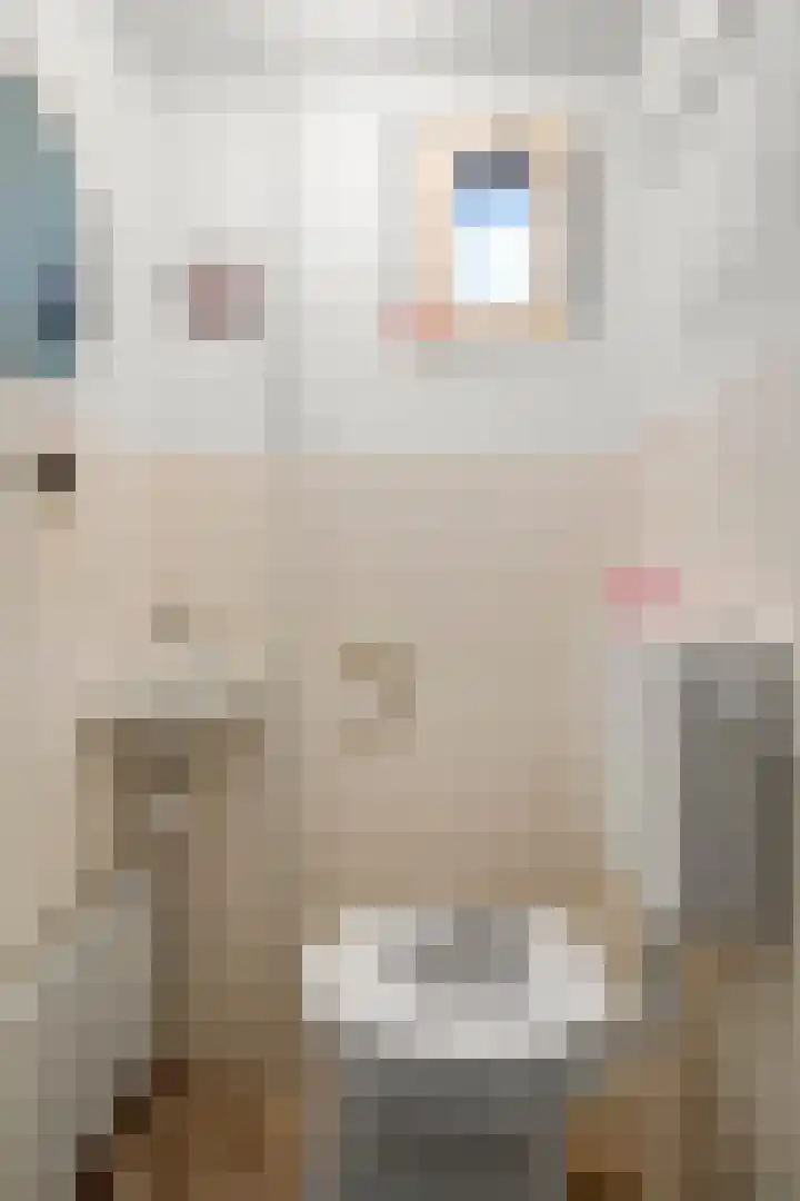 Leeuweriklaan 12 Ede thumbnail 17