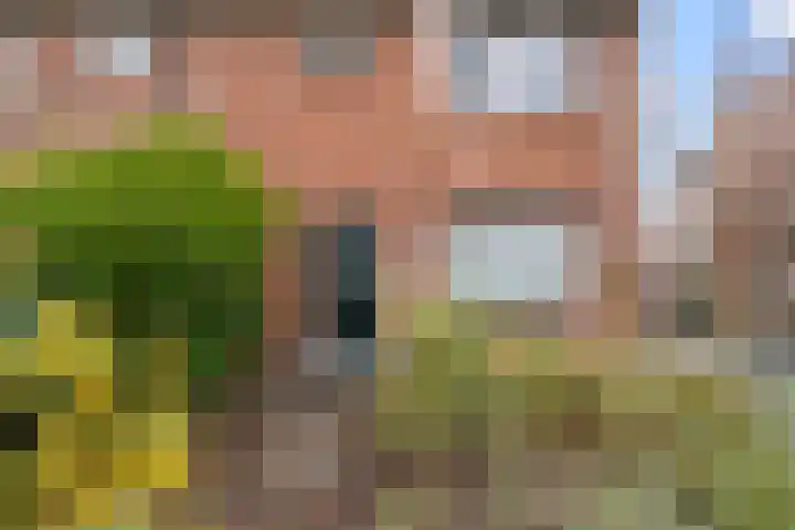 Leeuweriklaan 12 Ede thumbnail 41