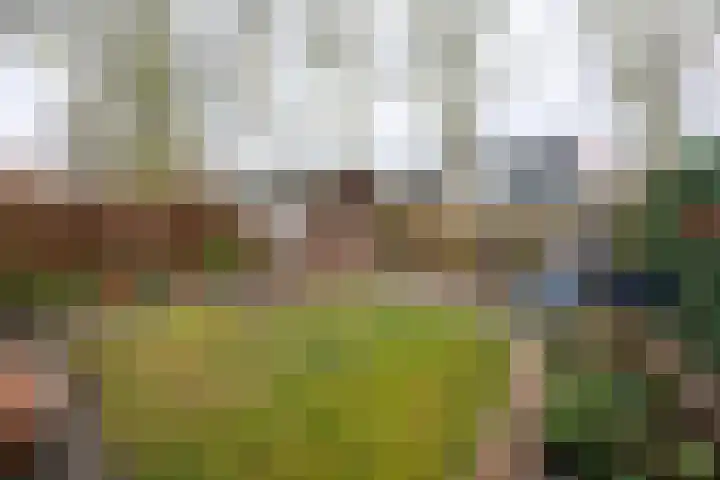 Leeuweriklaan 14 Delft thumbnail 17