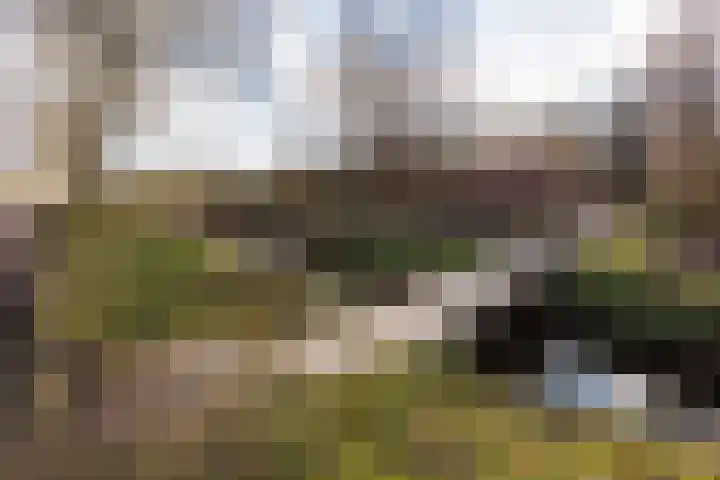 Leeuweriklaan 14 Delft thumbnail 40