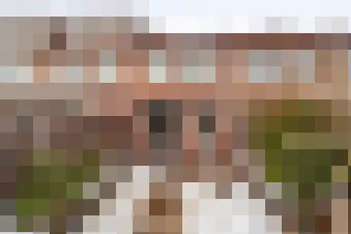 Leeuweriklaan 15 Delft thumbnail 26