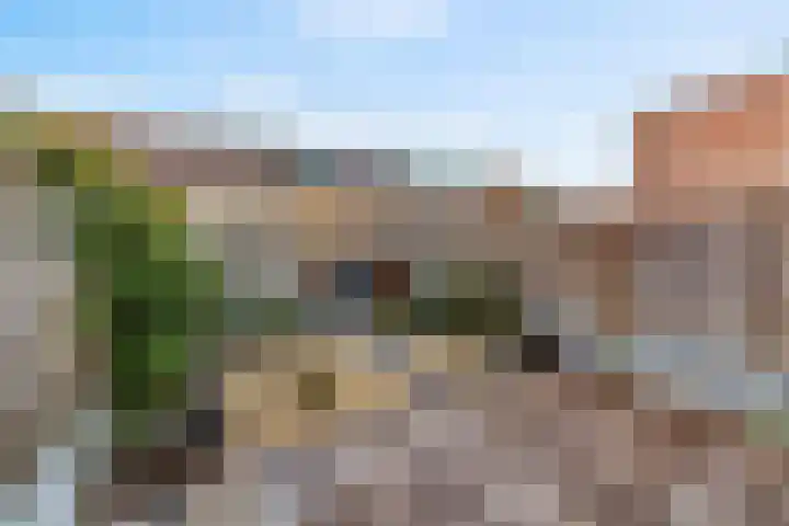 Leeuweriklaan 15 Delft thumbnail 5