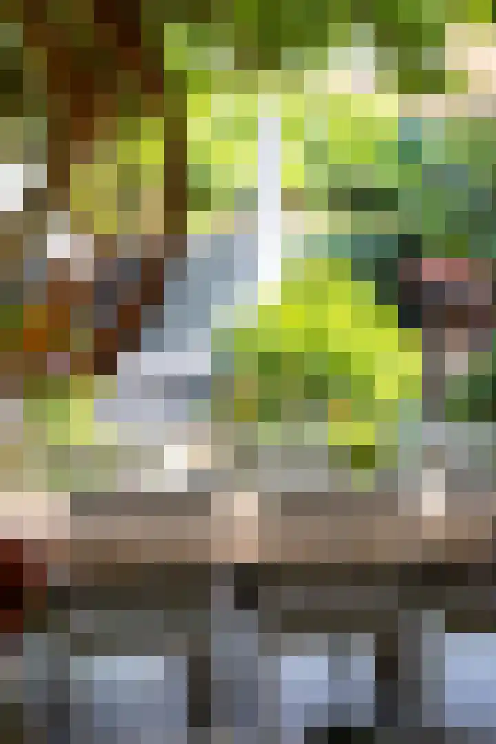 Leeuweriklaan 2 Rotterdam thumbnail 39