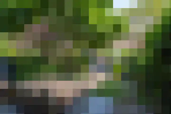 Leeuweriklaan 2 Rotterdam thumbnail 4