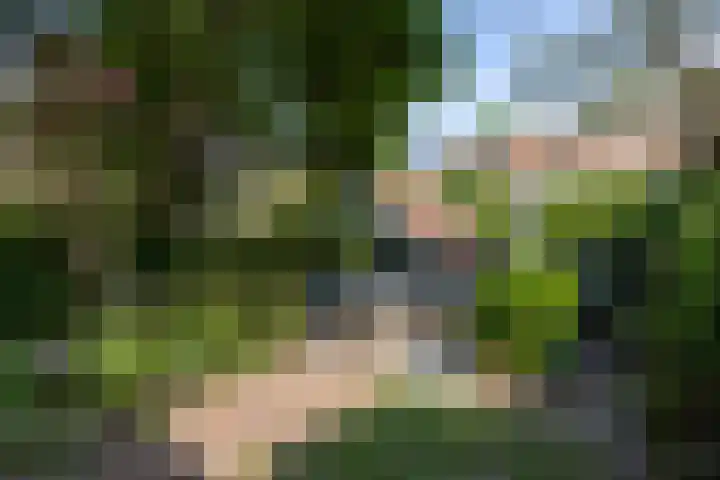 Leeuweriklaan 2 Rotterdam thumbnail 43