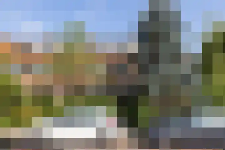 Leeuweriklaan 2 Rotterdam thumbnail 5