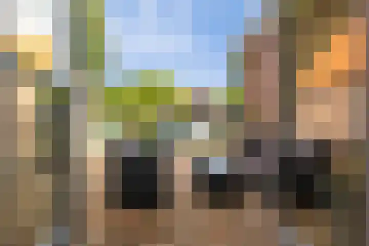Leeuweriklaan 24 Ede thumbnail 29