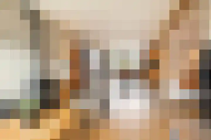 Leeuweriklaan 24 Ede thumbnail 7