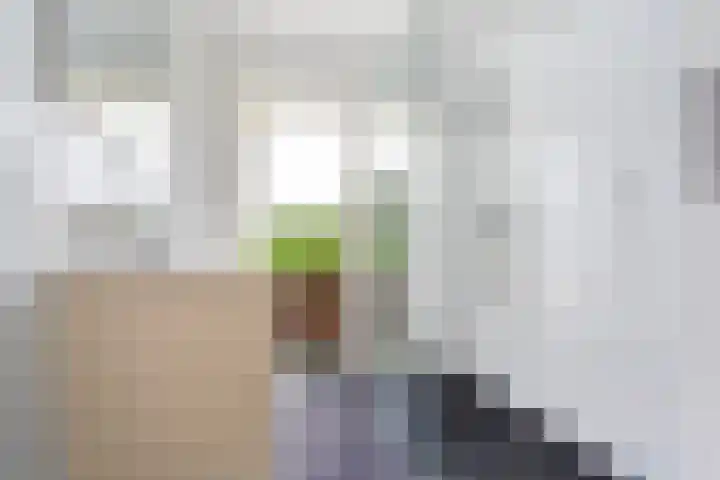 Leeuweriklaan 9 Rotterdam thumbnail 15